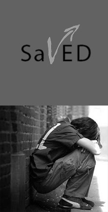 SAVED - Support against Vocational Training and Education Dropout