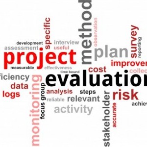 Project development, implementation and evaluation